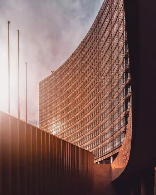 德國攝影師拍的上海美艷照,讓網友看呆 這還是我認識的魔都嗎